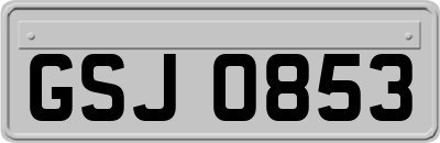 GSJ0853