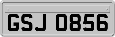 GSJ0856