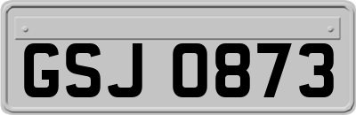 GSJ0873