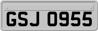 GSJ0955