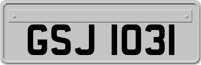 GSJ1031