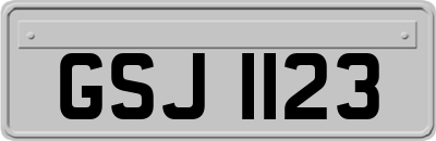 GSJ1123
