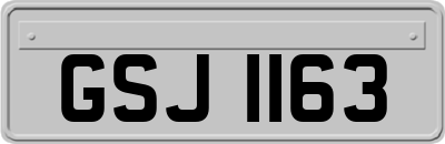 GSJ1163