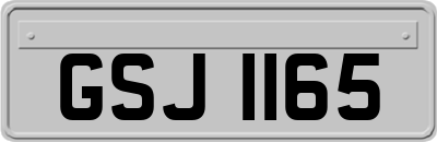 GSJ1165
