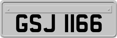 GSJ1166