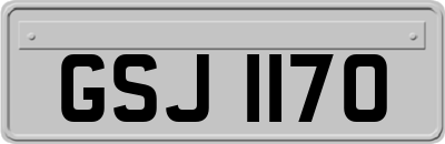 GSJ1170