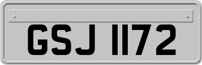 GSJ1172