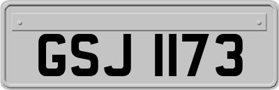 GSJ1173