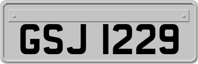 GSJ1229