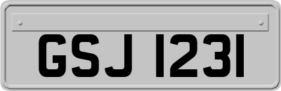 GSJ1231