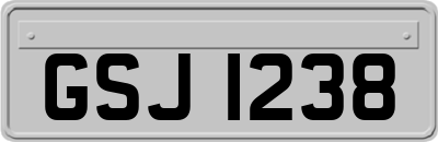 GSJ1238