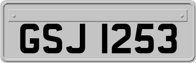 GSJ1253