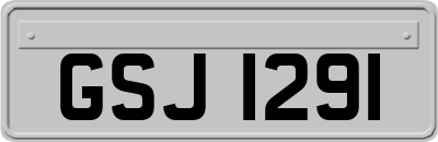 GSJ1291