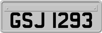 GSJ1293