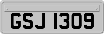 GSJ1309