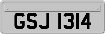 GSJ1314