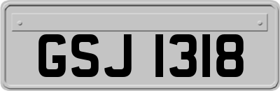 GSJ1318