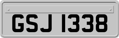 GSJ1338