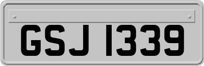 GSJ1339