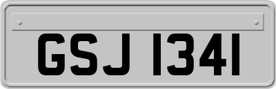 GSJ1341