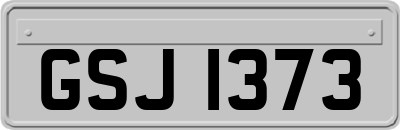 GSJ1373