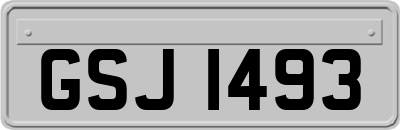 GSJ1493