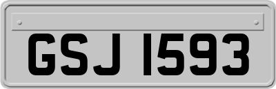 GSJ1593
