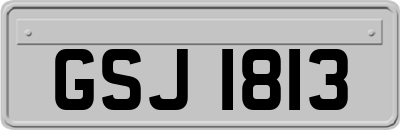 GSJ1813