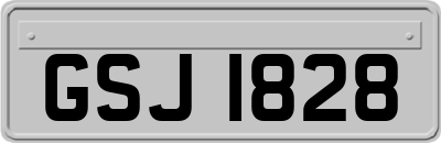 GSJ1828