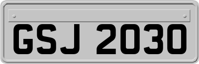 GSJ2030