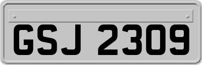 GSJ2309
