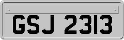 GSJ2313