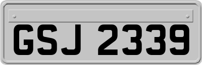 GSJ2339