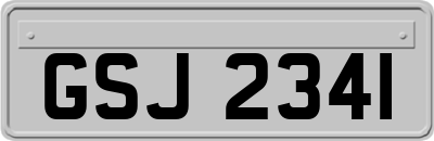 GSJ2341