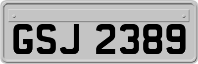 GSJ2389