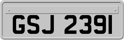 GSJ2391