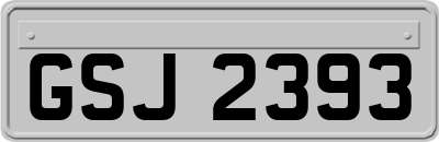 GSJ2393