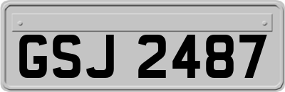 GSJ2487