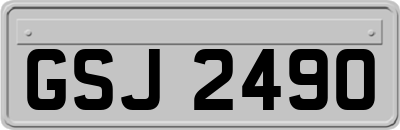 GSJ2490