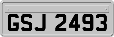 GSJ2493