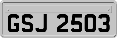 GSJ2503