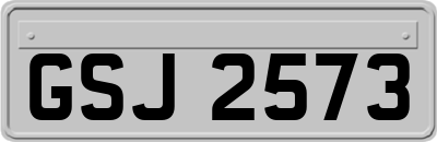 GSJ2573