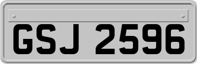 GSJ2596