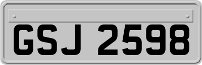GSJ2598
