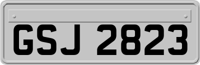 GSJ2823