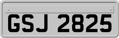 GSJ2825