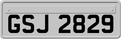 GSJ2829