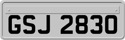 GSJ2830