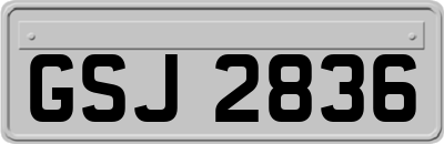 GSJ2836