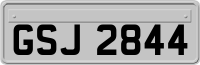 GSJ2844